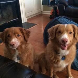 Meet your Posher, Kristy